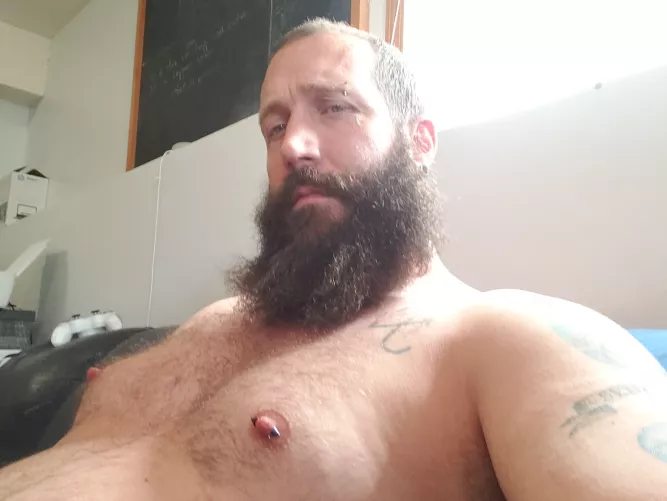 Cuddly Daddy bear