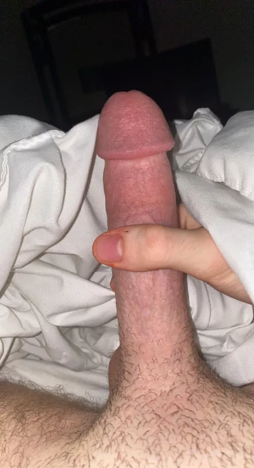 Cum lick it..
