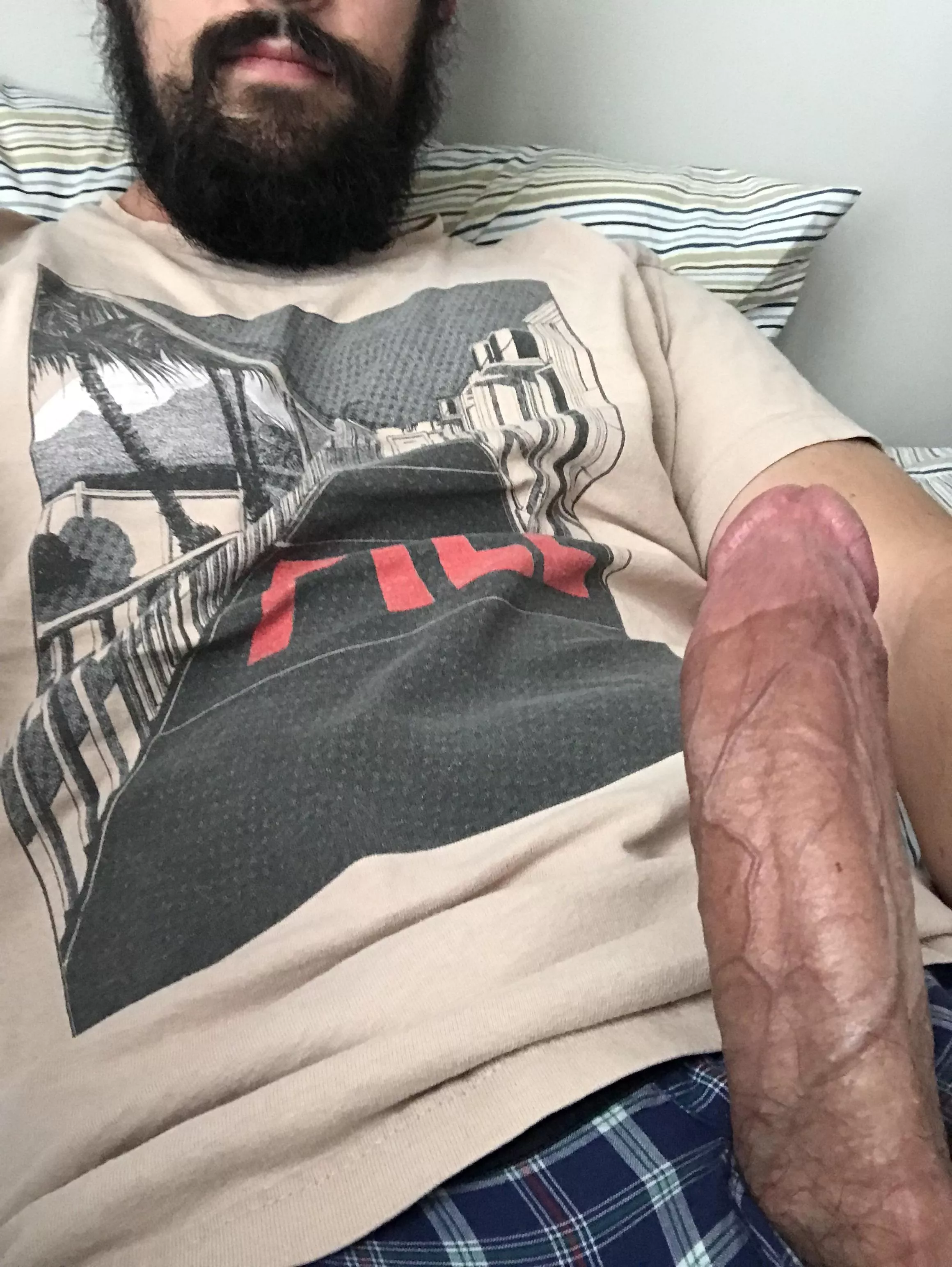 Cum on my beard then cum on my cock Cum on my beard then cum on my cock