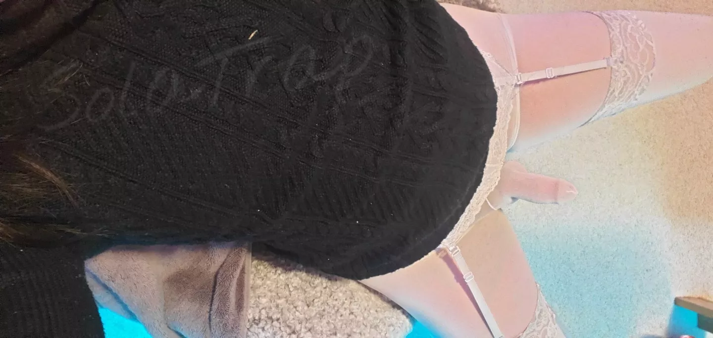 Cum suck my nylon encased cock! Cum suck my nylon encased cock!