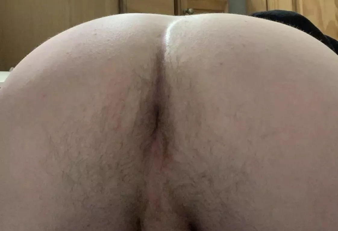 Curious if you’d eat my ass