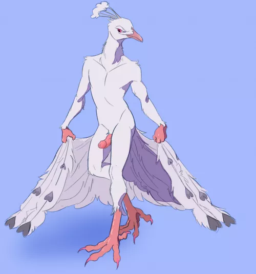 Curtsy (Asurii) Curtsy (Asurii)
