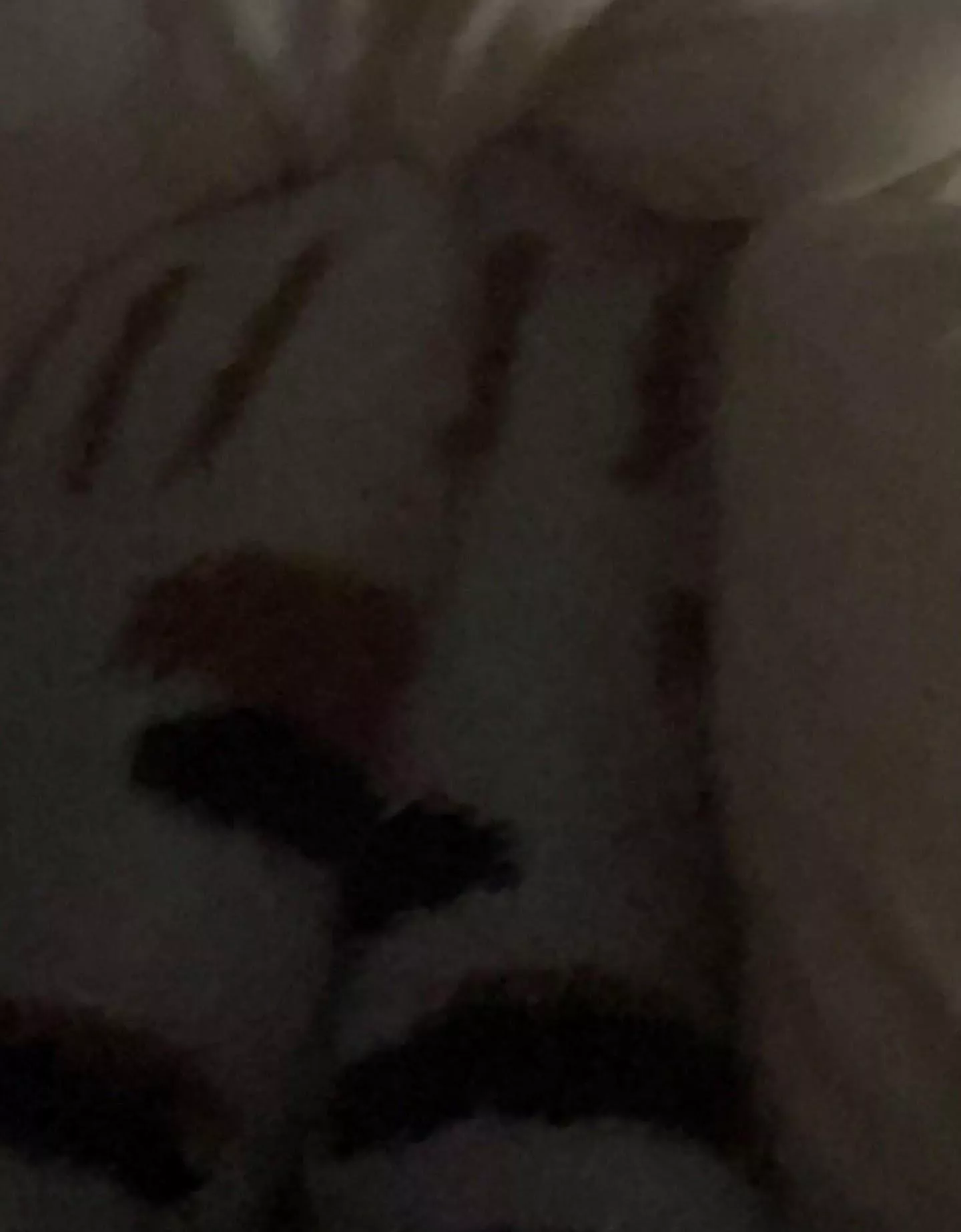 cute cat socks I got :) cute cat socks I got :)