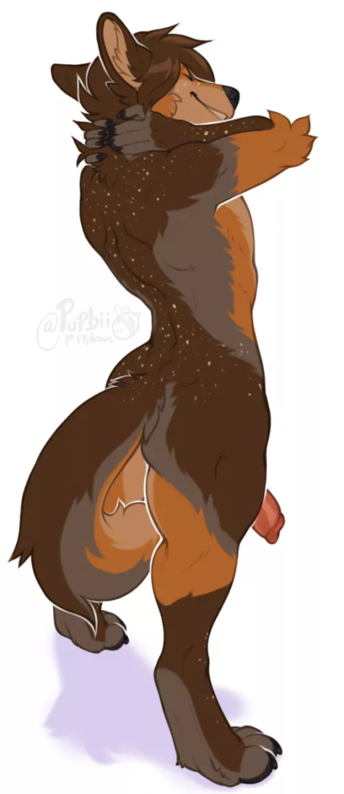 Cute Coyote (Rokemi) Cute Coyote (Rokemi)
