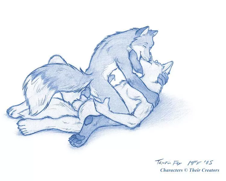 Cute fox and wolf. Taurinfox Cute fox and wolf. Taurinfox