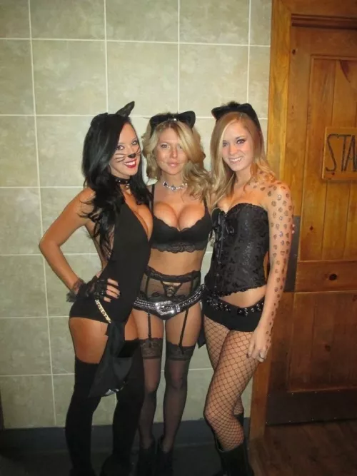 Cute kitties Cute kitties