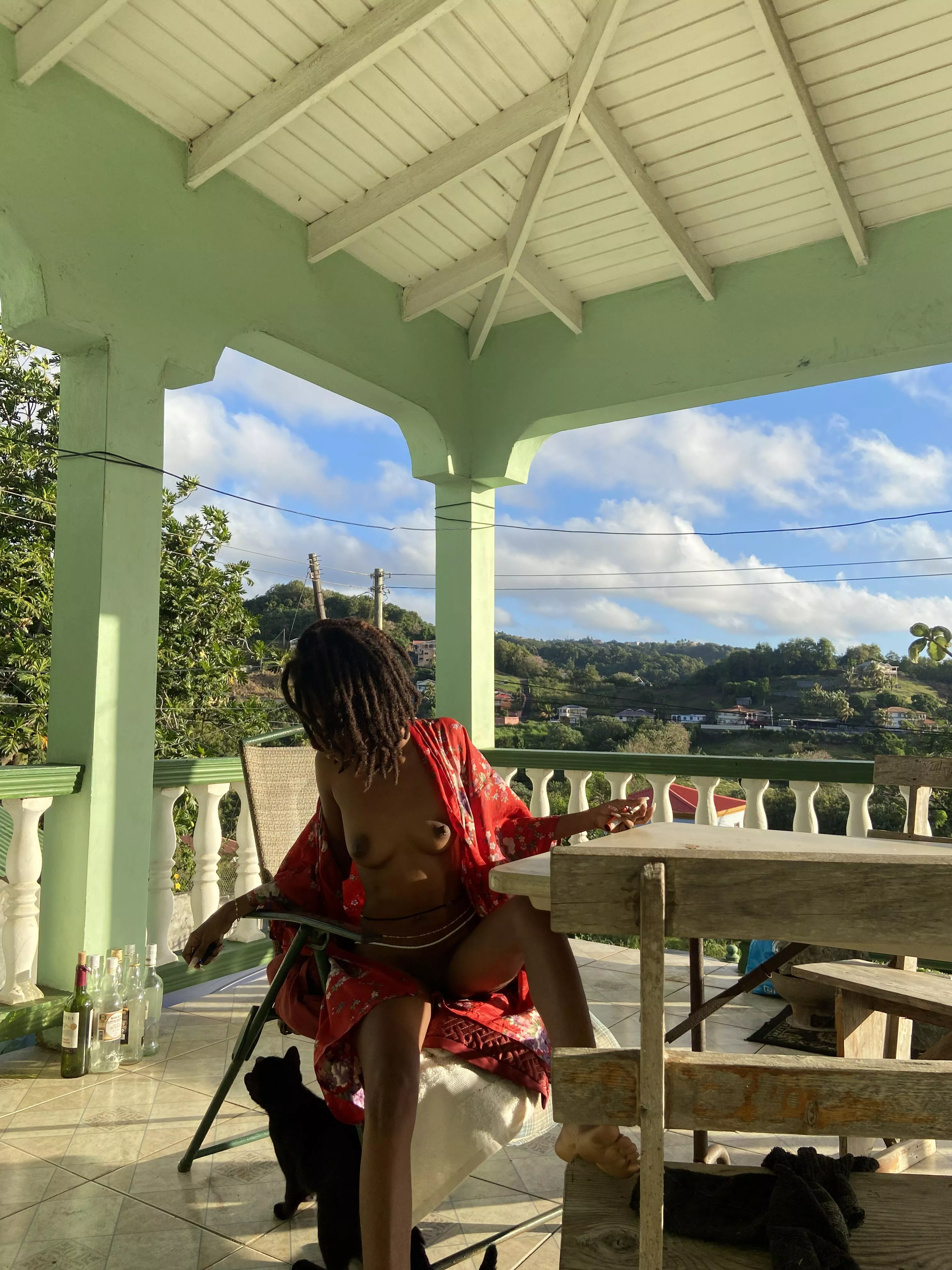 Cute kitties and morning views Cute kitties and morning views
