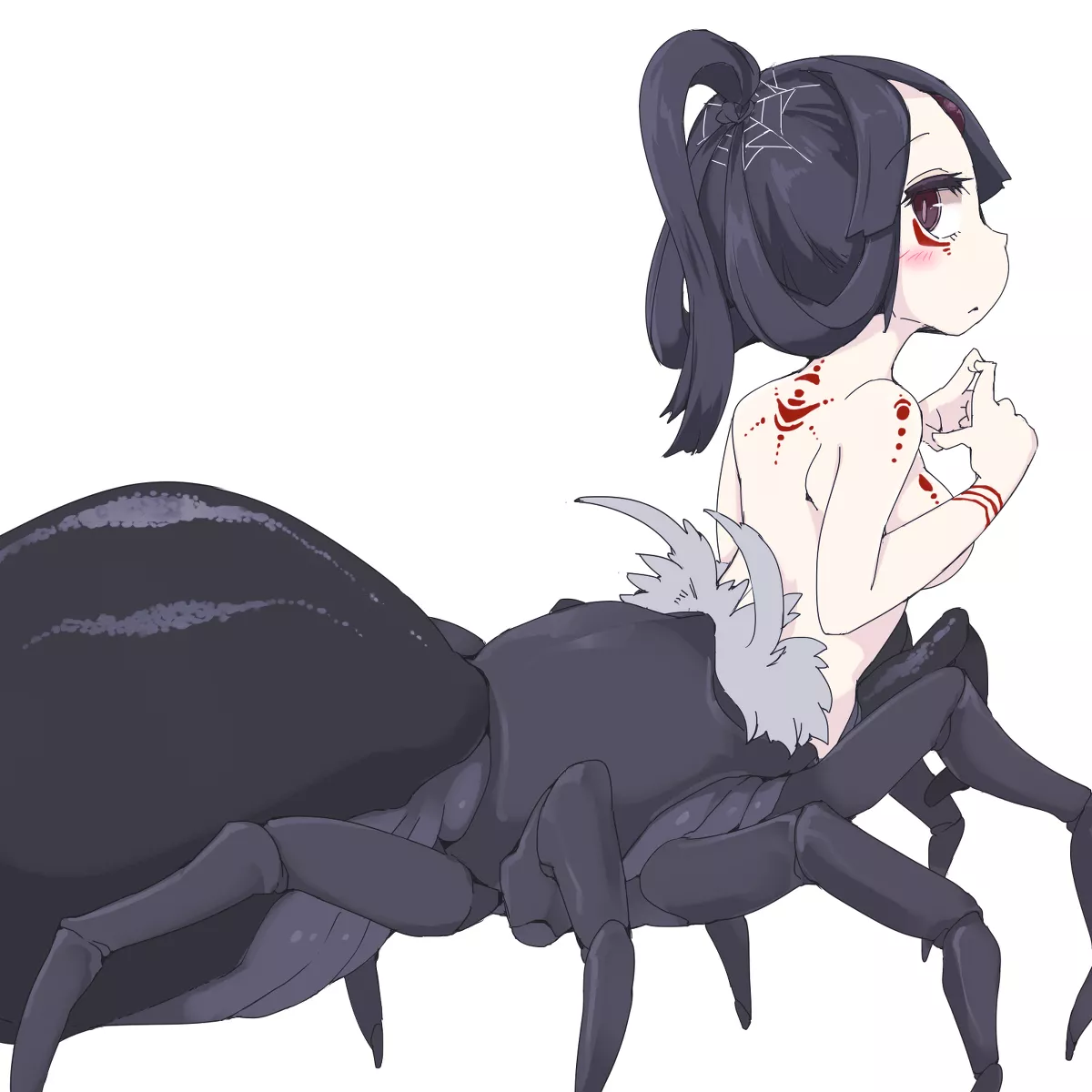 Cute spider girl Cute spider girl
