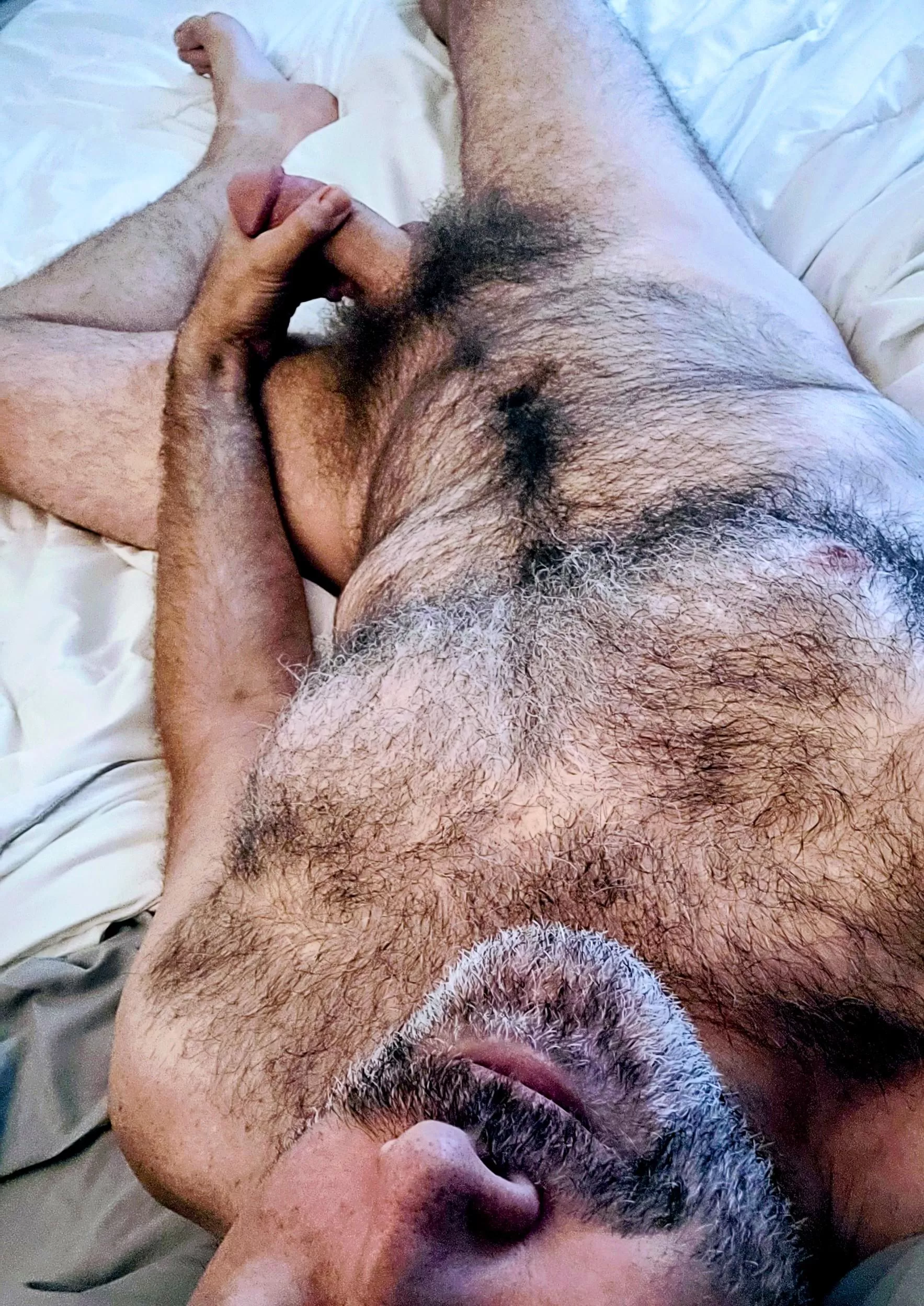 Dad fur and morning wood 😎