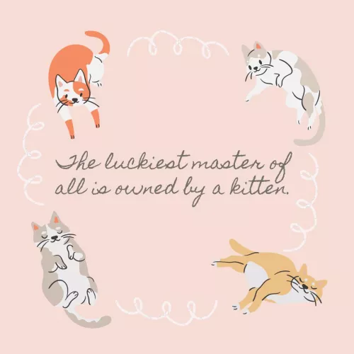 Daddies just think they’re in charge 💞