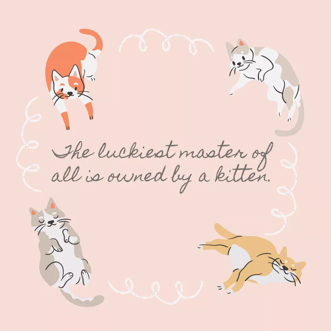 Daddies just think they’re in charge 💞