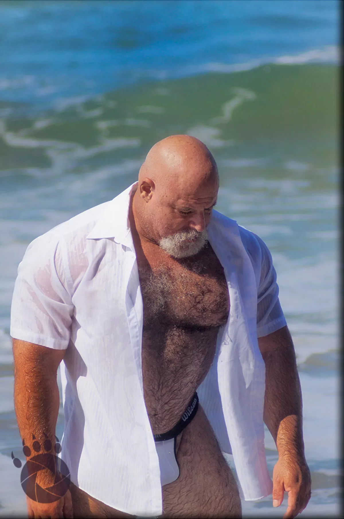 Daddy bear Phil Ruben Daddy bear Phil Ruben