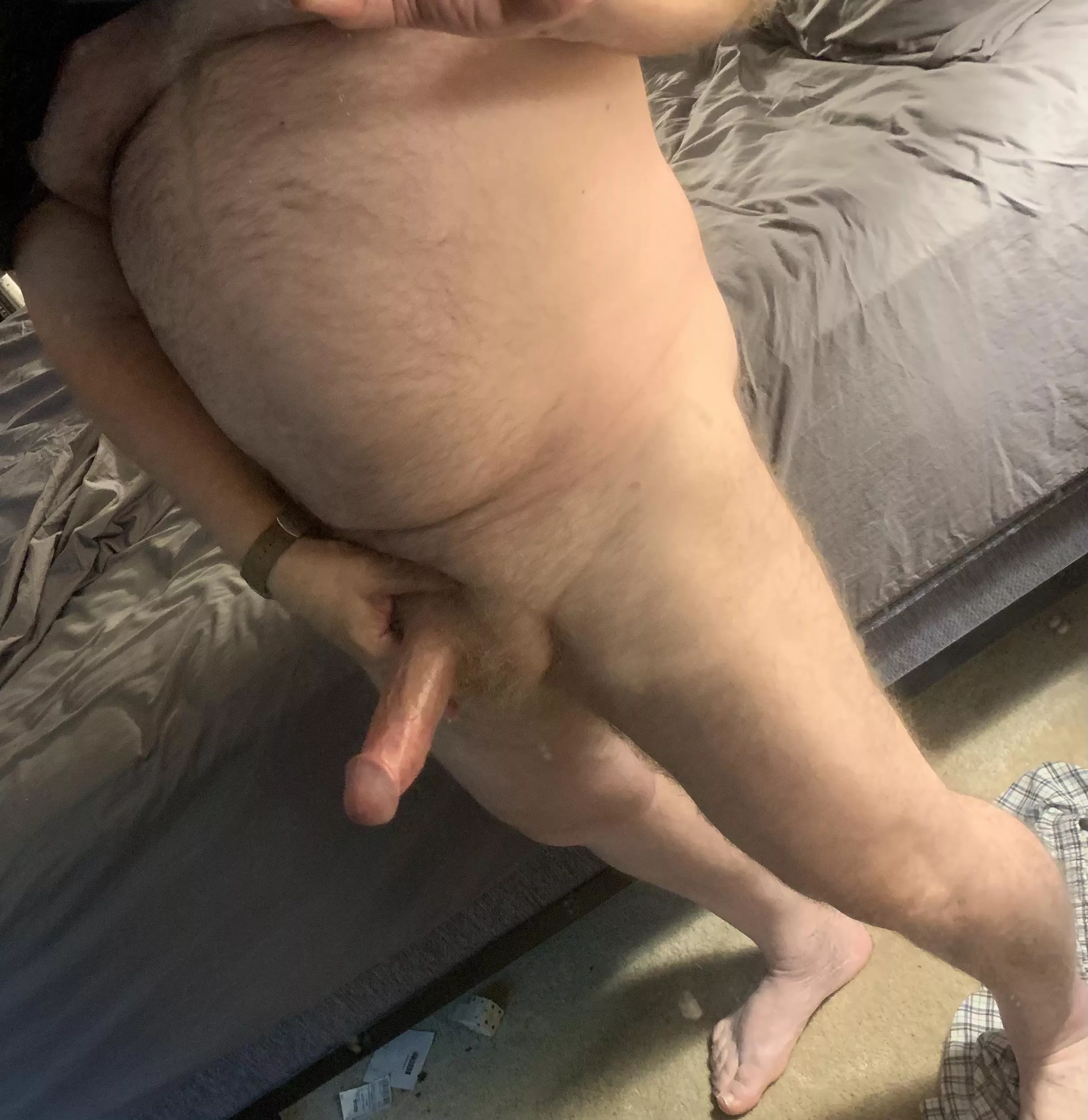 Daddy bear ready for the right cub or otter Daddy bear ready for the right cub or otter