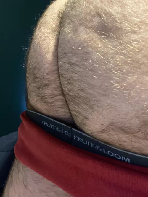 Daddy Bearβs Big Hairy Ass