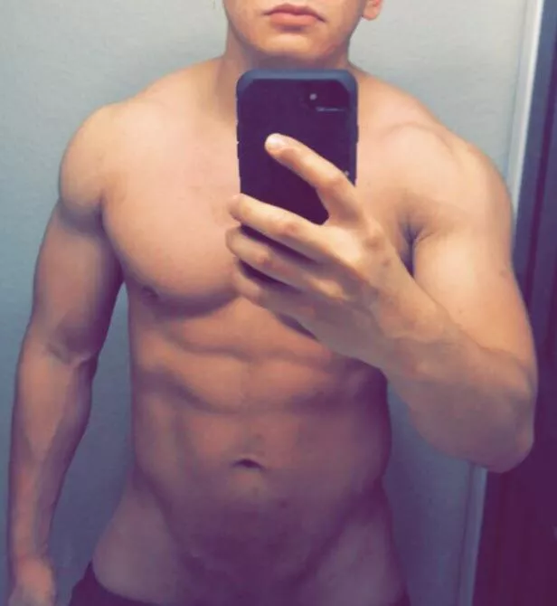 Daddy Dom/Breeder Bull