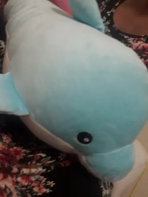 💖🥺🥰Daddy gave me Christmas money, and I used some to go shopping and I got a new friend! It's name is Sir Viscount Bluey The 1st! Thank you daddy for letting me get it! I love you🥺.🥰💖