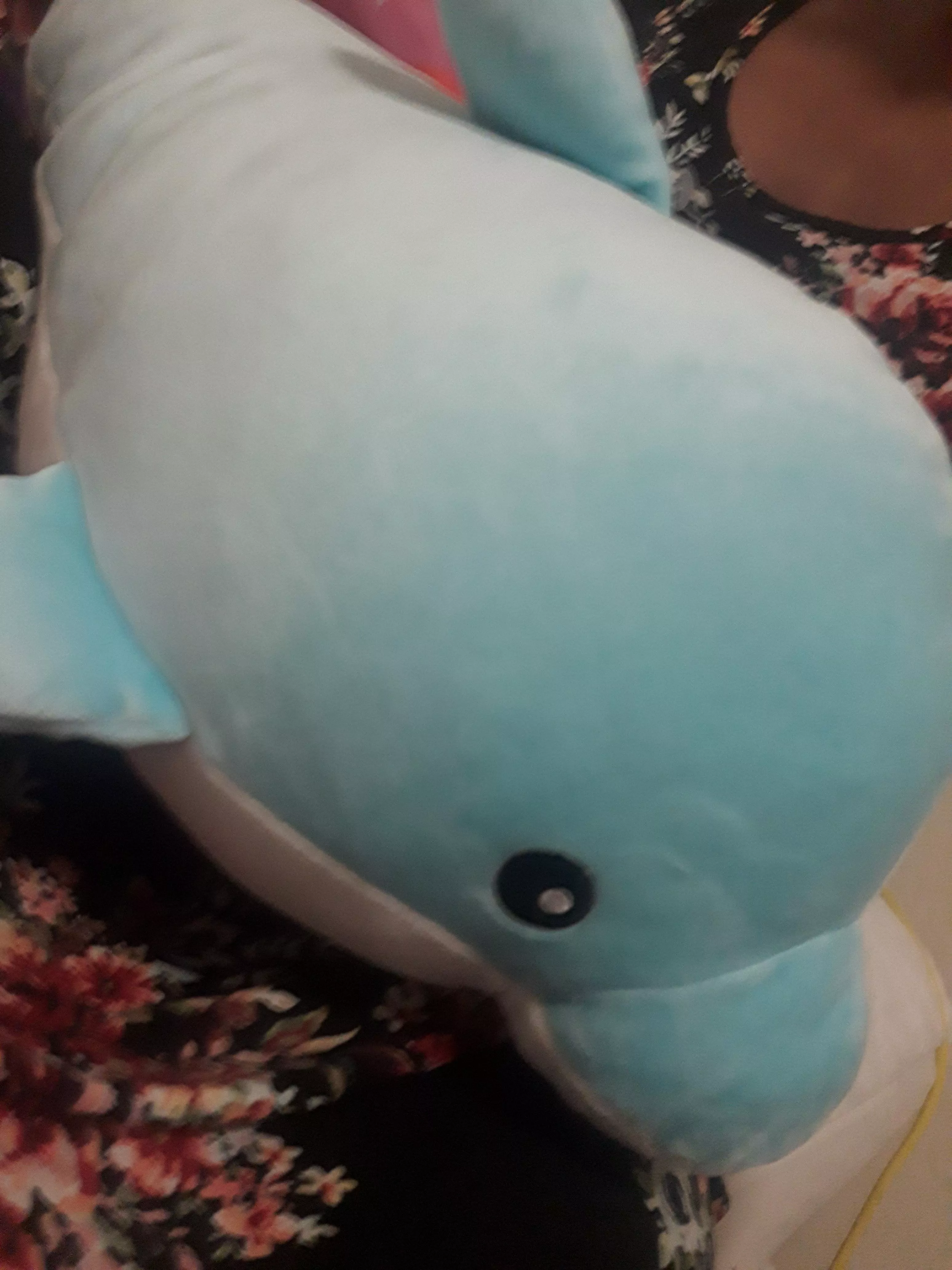 💖🥺🥰Daddy gave me Christmas money, and I used some to go shopping and I got a new friend! It's name is Sir Viscount Bluey The 1st! Thank you daddy for letting me get it! I love you🥺.🥰💖