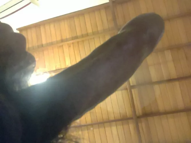 Daddy looking for new whores to worship my cock Kik. Hmu Daddy looking for new whores to worship my cock Kik. Hmu