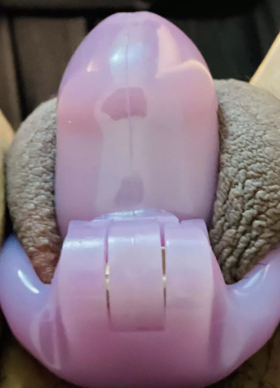 Daddy wanted to see it locked, he said it should never be free 😢