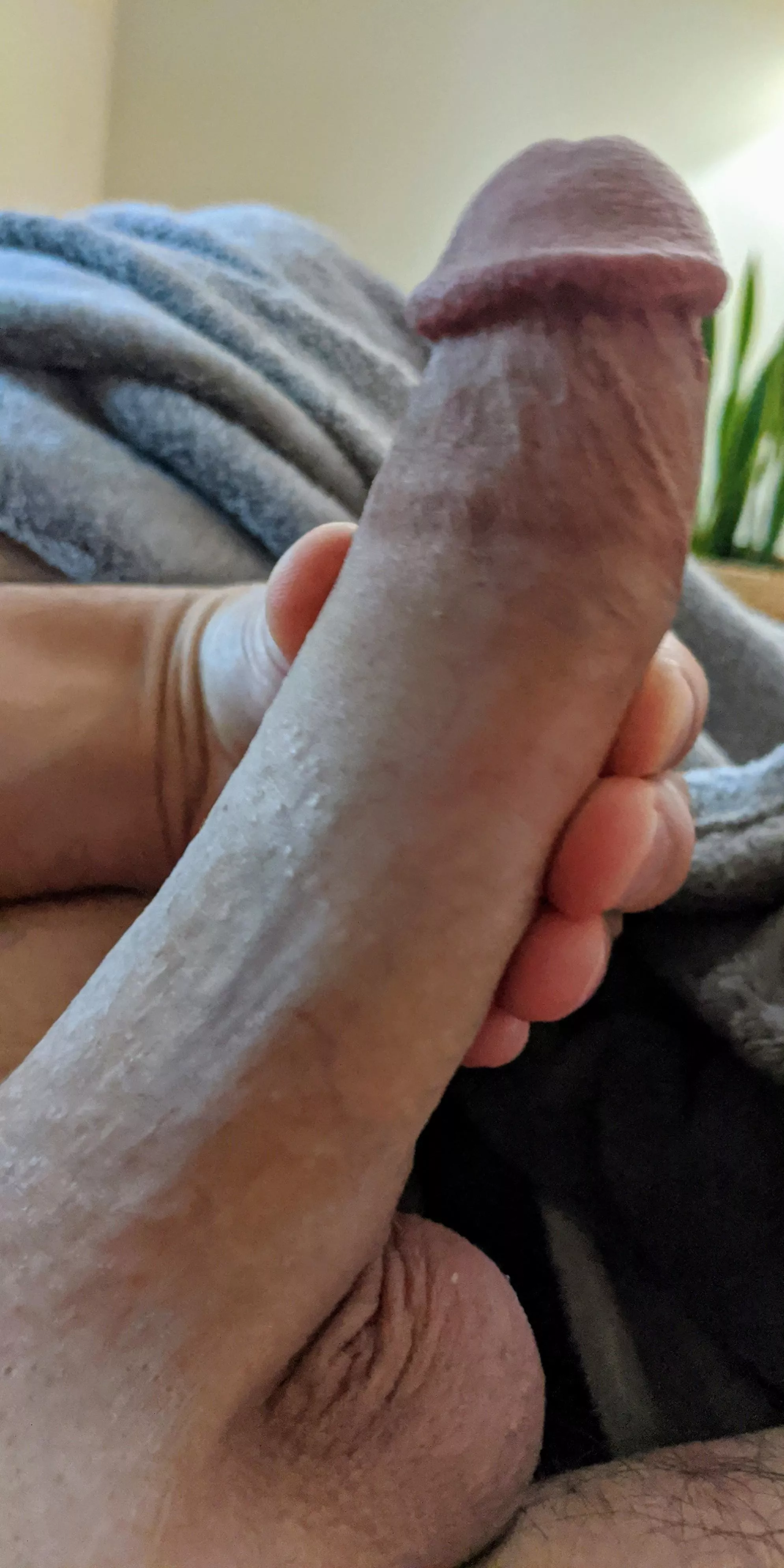 Daddy's big sucker Daddy's big sucker