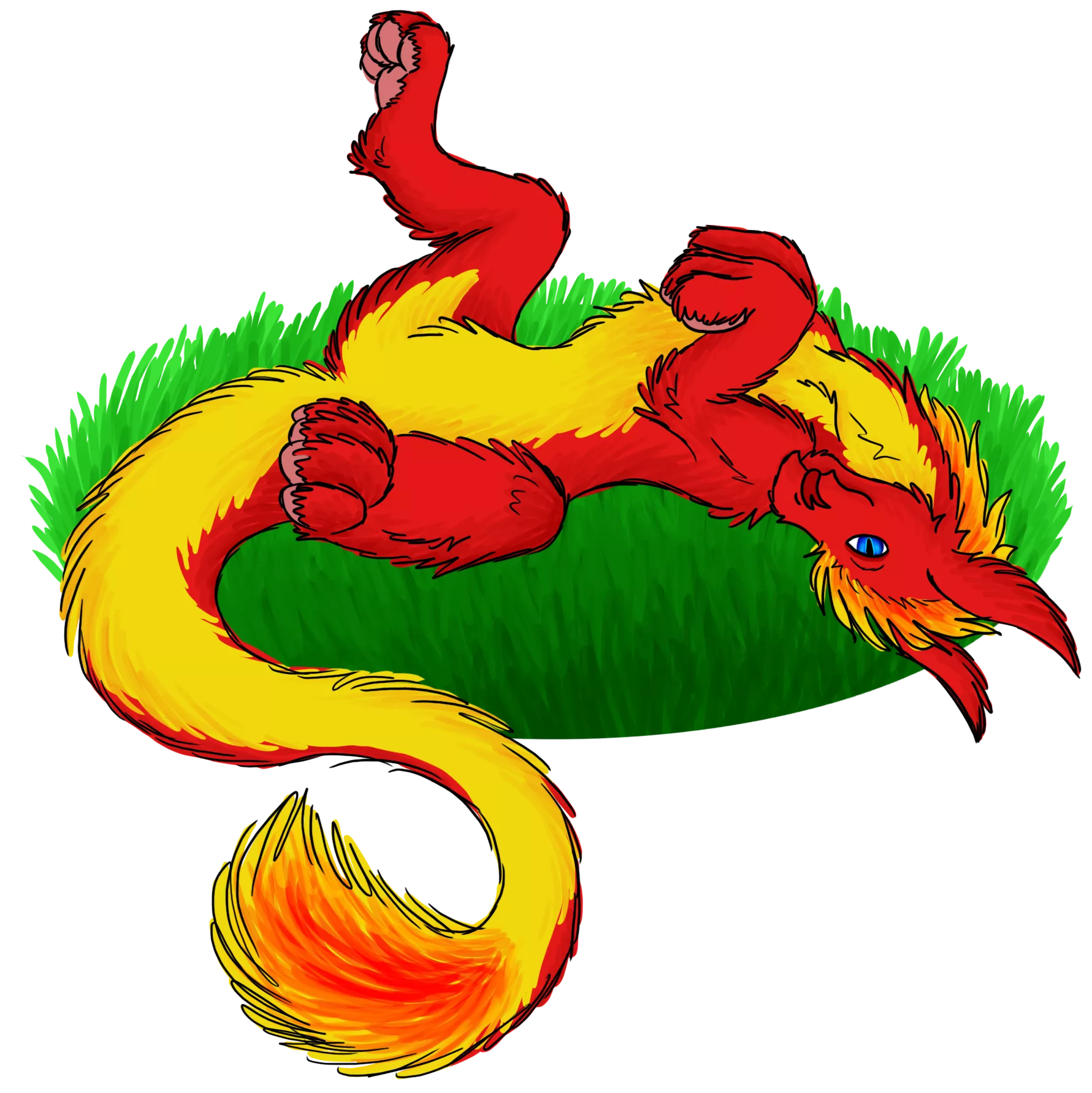 Dare you pet the fluffy tummy? (OC)