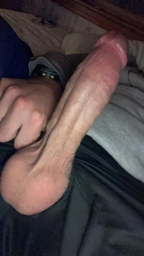 Dare you to take it all