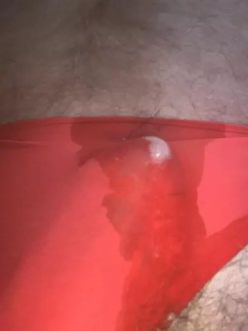 Daughters panties