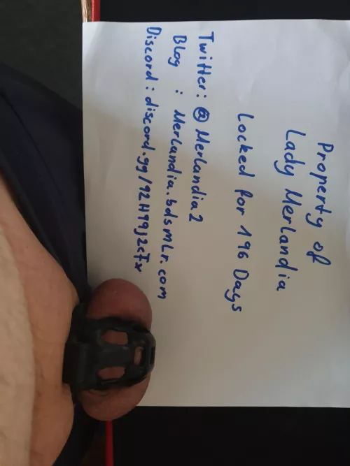 Day 196 and no escape. And my Lady is looking for New slaves