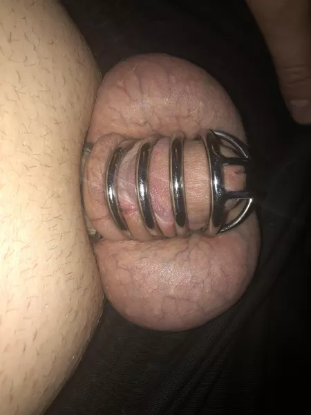 Day 4. Tied my record, feeling very submissive and horny. I barely notice wearing the cage anymore. Itβs getting scary that I can actually do this long term.