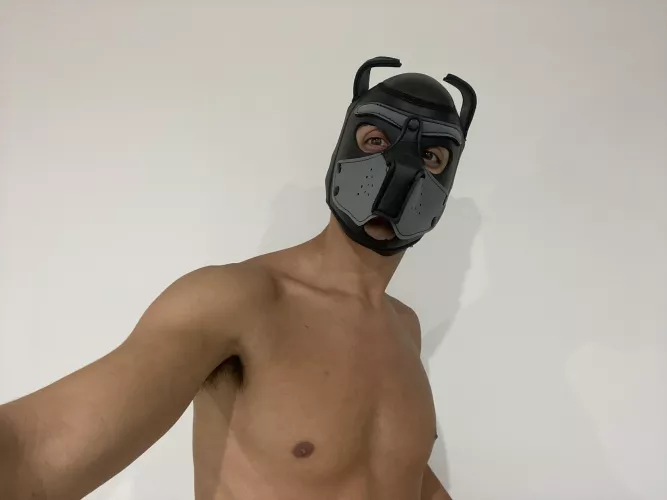 Day by day, without an owner :(