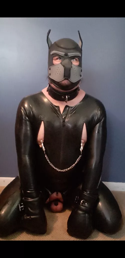 Daydreaming of being a locked, collared, and owned pup...
