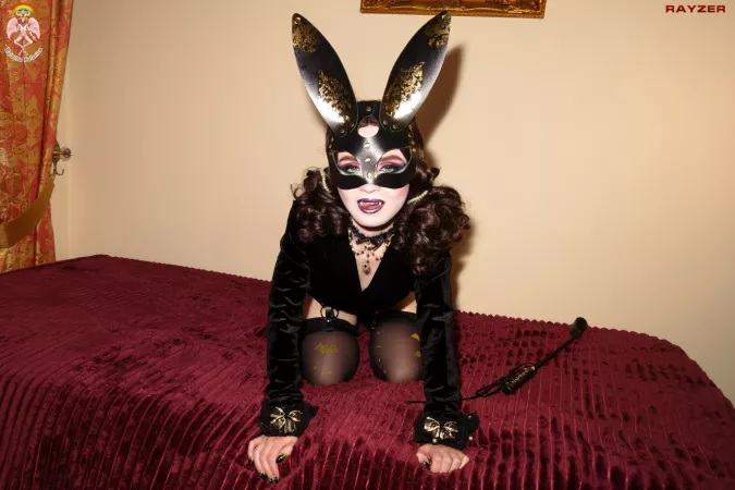 Decadence Bunny by Rainbow Satanica Decadence Bunny by Rainbow Satanica