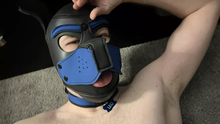 Decided on a name 🐶