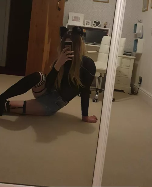 Decided to become a catgirl, what do you think? 😼 Decided to become a catgirl, what do you think? 😼