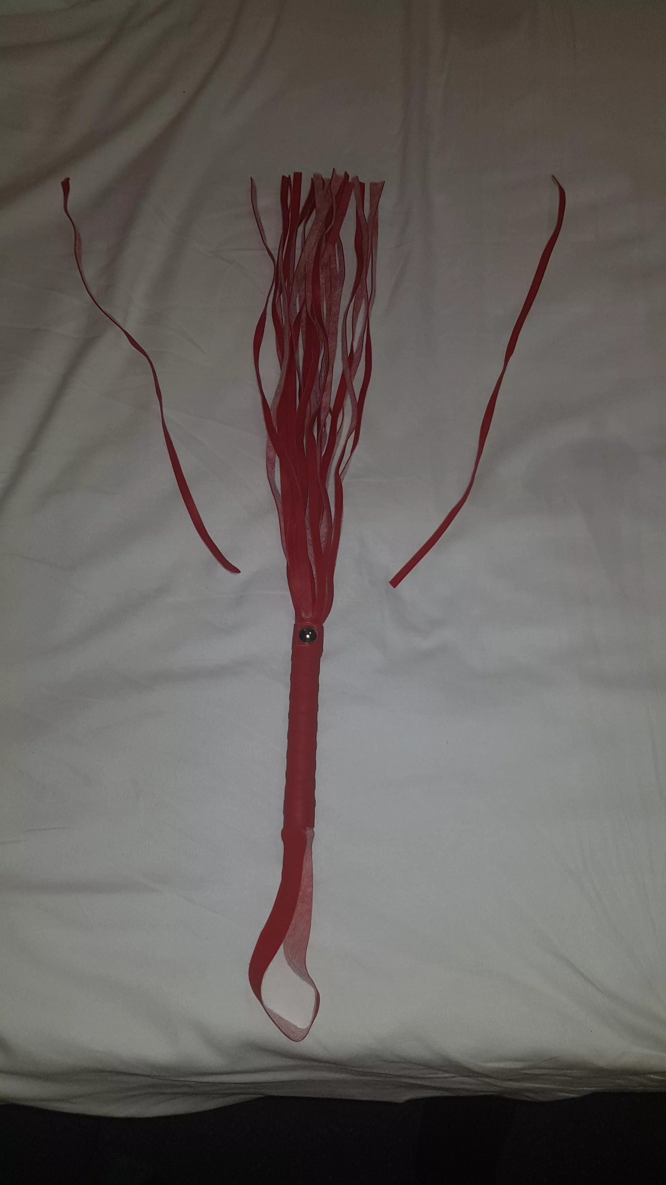 Decided to find out which broke first. My whip or my slut. Looks like I need to find a stronger whip for next time