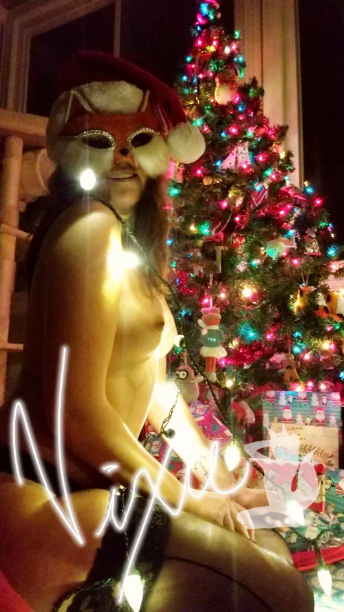 Deck the halls with Frisky Foxes fa la lalala, lala la la π¦π