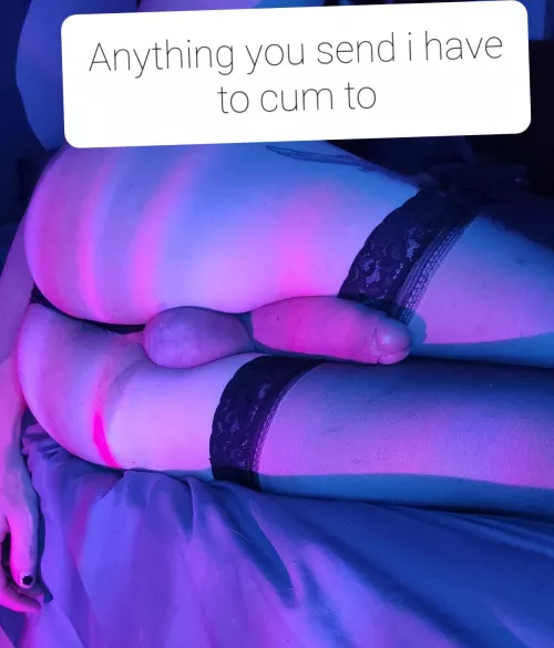 Definitely belong here ( caption for extra fun)