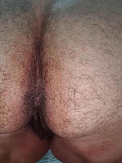 delicious furry ass delicious furry ass