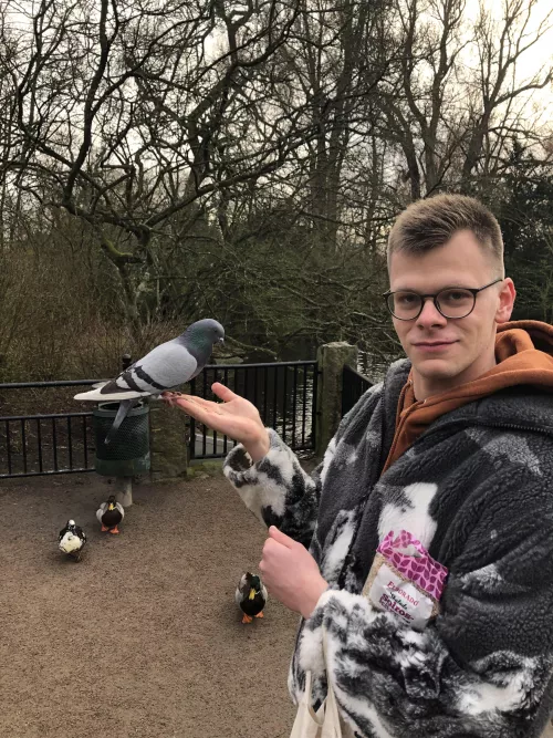 Destress - Commune With Birds Destress - Commune With Birds