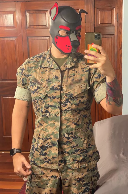 Devil pup needs a play date 🐶🤤