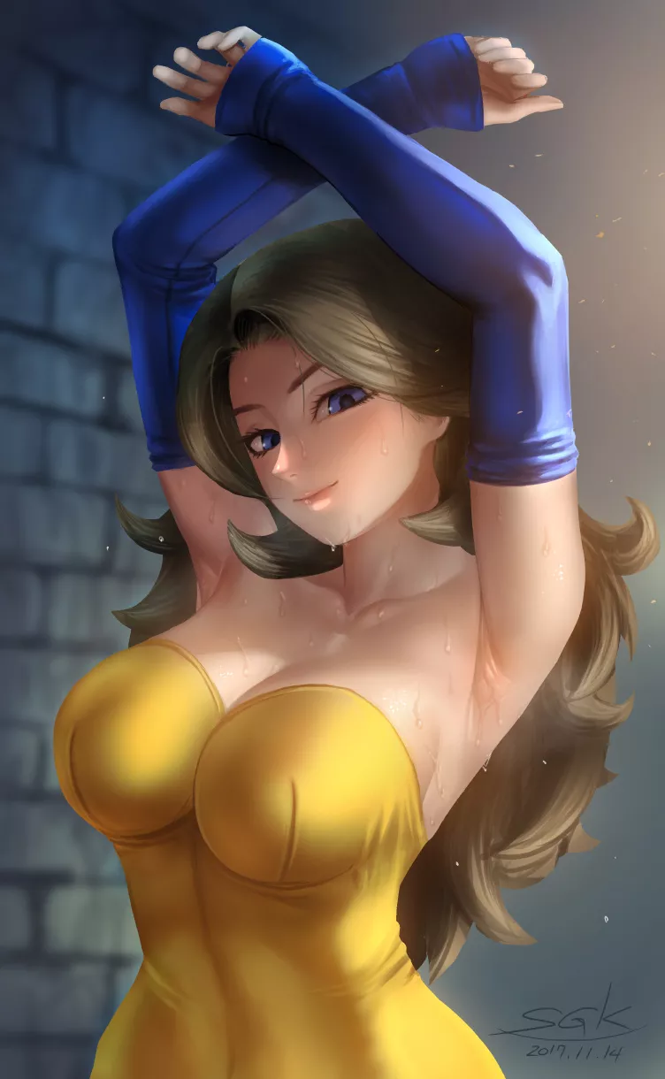 Diana ( Dragonquest 11 ) Diana ( Dragonquest 11 )