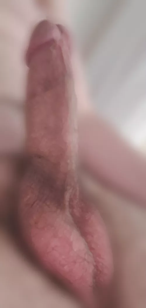 dick in da bath