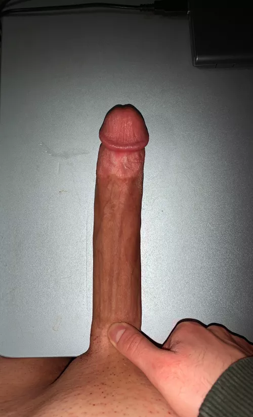 Did u like it ? [19]