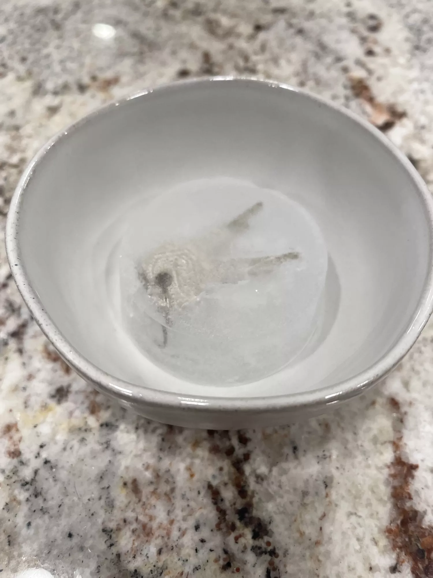 Didn’t have a lock box or numbered seals on me, went the 🧊 route