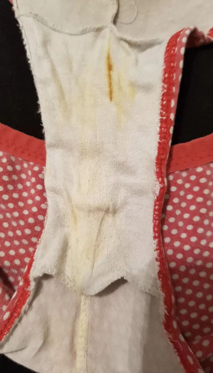 Didn’t realise how dirty the sister in laws panties get! 👀