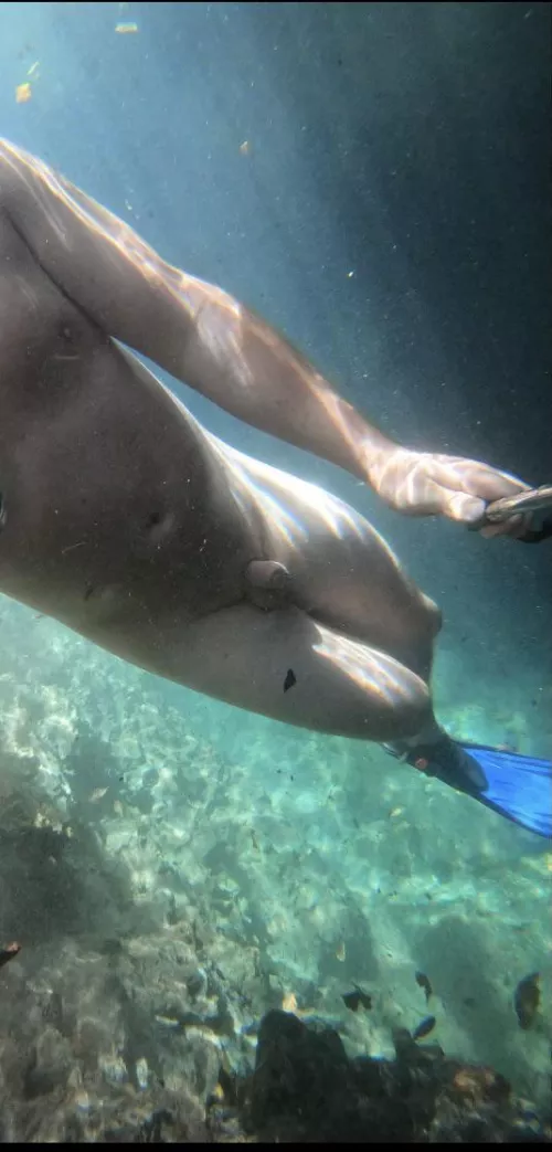 Diving naked is always the highlight of my day (m) Diving naked is always the highlight of my day (m)