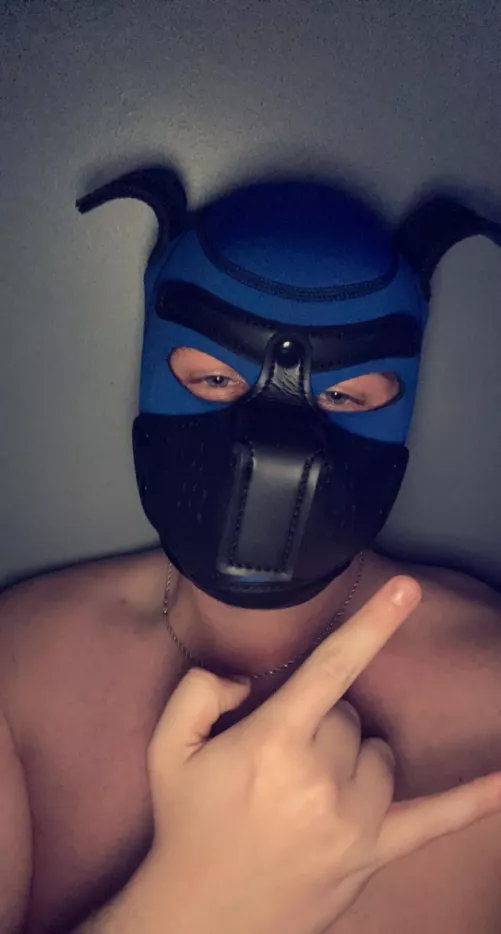 DL Bi Closeted College Bro. Just learned about this not long ago, and I got my hood yesterday. Looking for friends/mentors, DM me if you’re interested in this Jock Pup