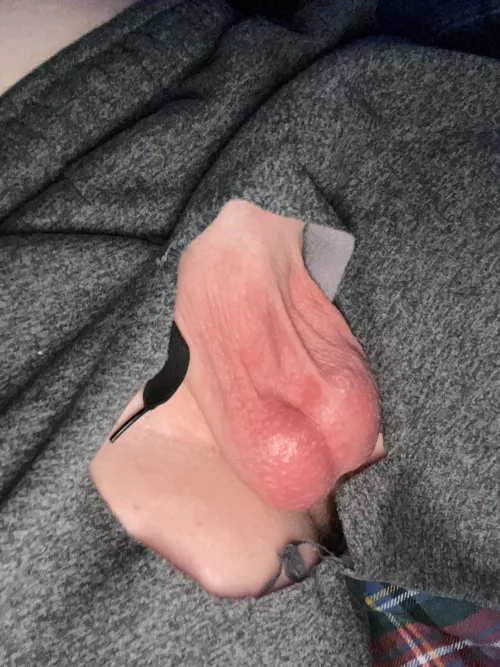 Dm me asap to help me drain my low hanging teen balls Dm me asap to help me drain my low hanging teen balls
