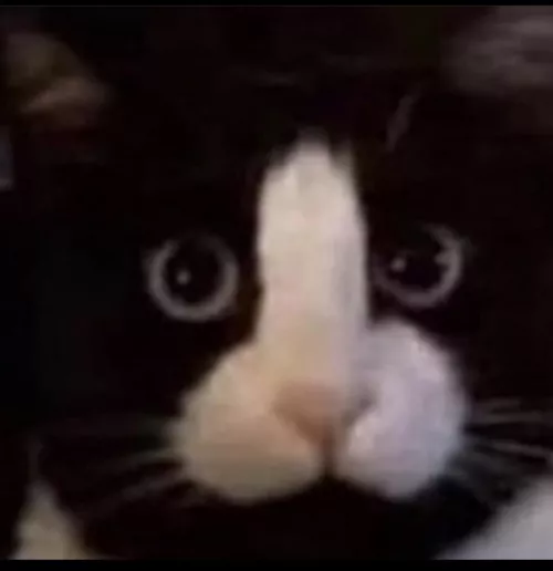 dm me for my snap i want to cum on snap video call