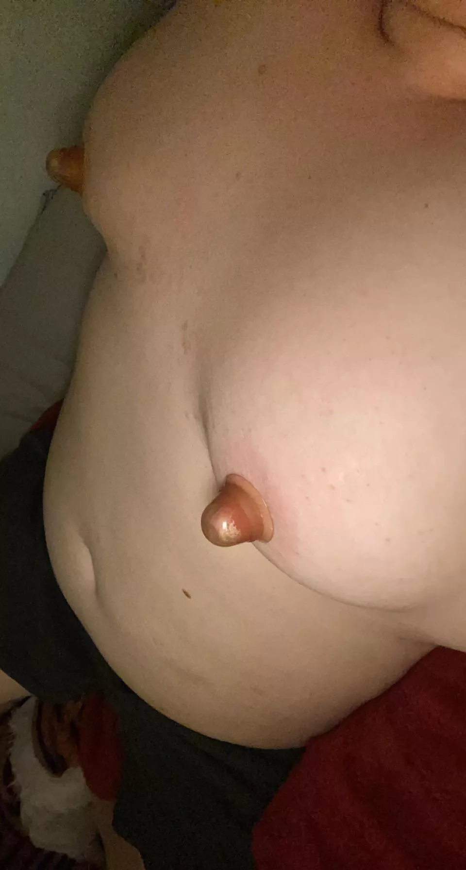 DMs open ;)